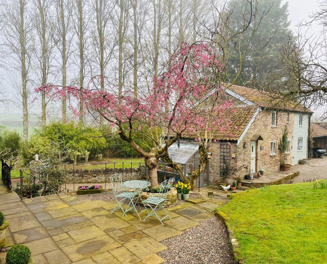 Beautiful Old Water Mill In Rural Herefordshire Ngoại thất bức ảnh